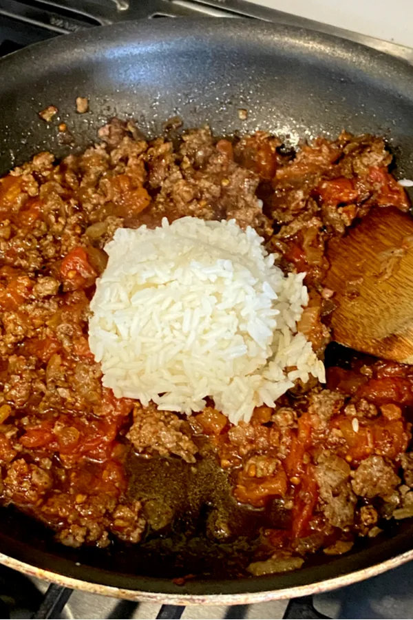 meat and rice 