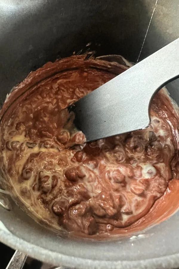 melting chocolate chips