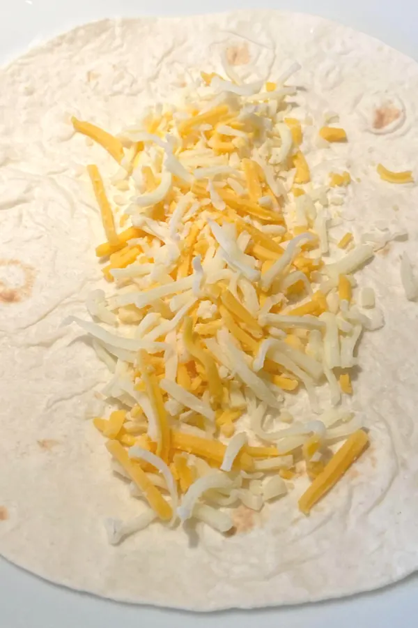 cheese on tortilla shell
