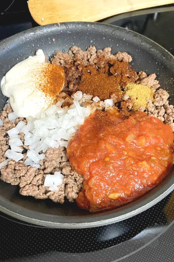ground beef with salsa, mayo, and spices on top