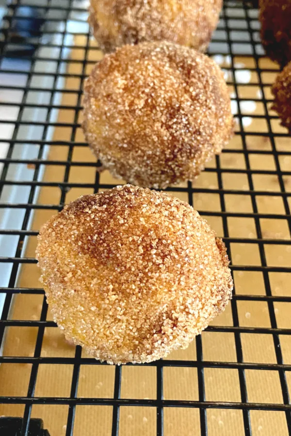 cinnamon sugar coated donut hole