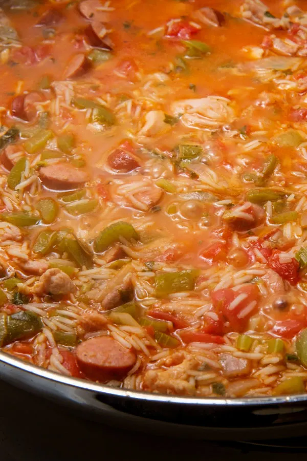 stew with rice 