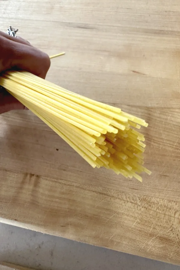 spaghetti noodles
