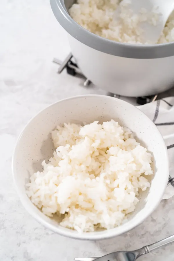 rice in bowl next to a rice cooker