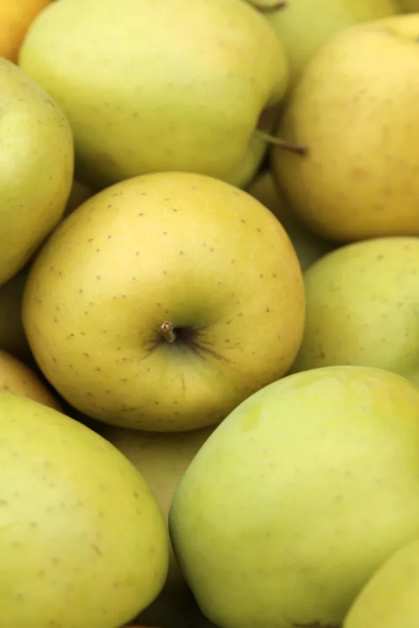 golden delicious apples