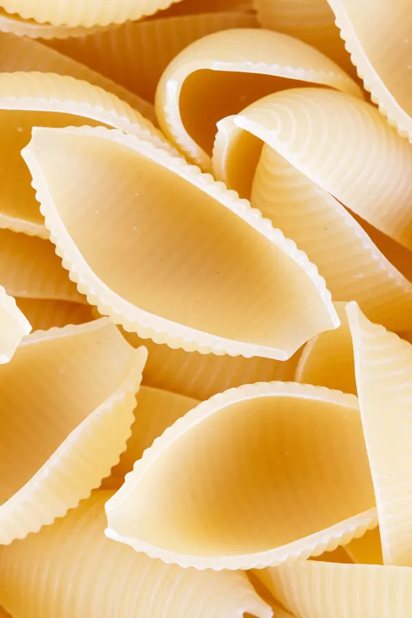large pasta shells