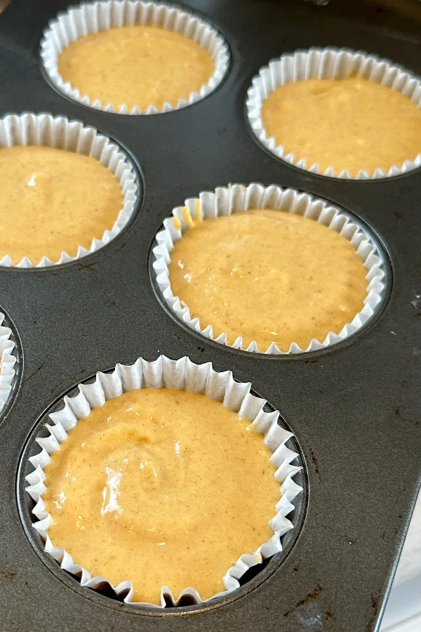 pumpkin cheesecake filling