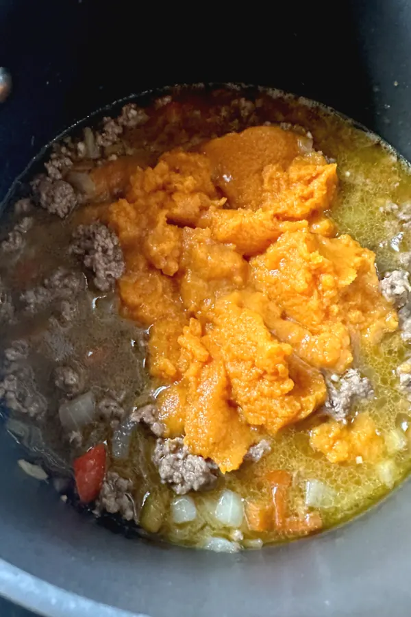 pumpkin puree in soup