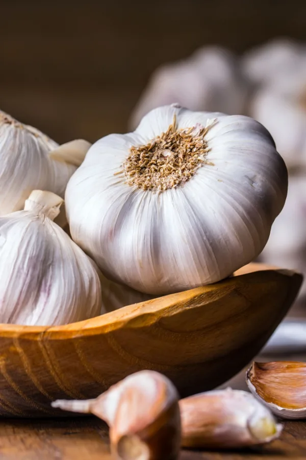 fresh garlic bulbs on a countertop.