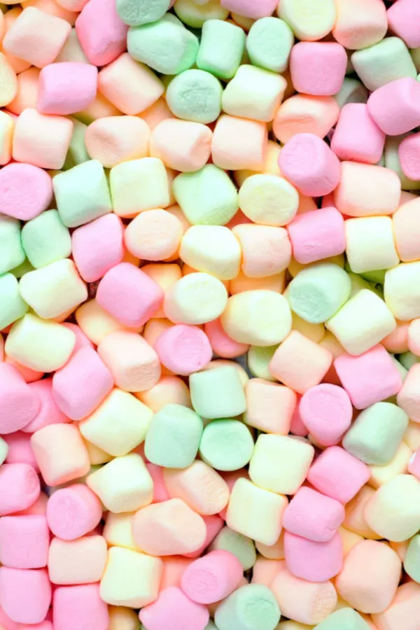 multicolored miniature marshmallows