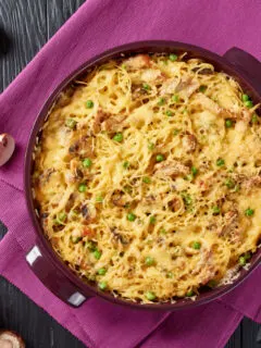 Turkey Tetrazzini
