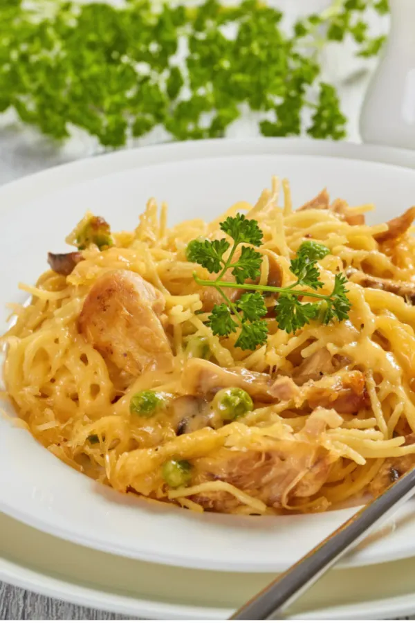 leftover turkey tetrazzini 
