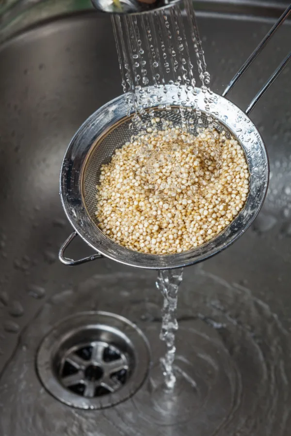 rinsing quinoa grains 