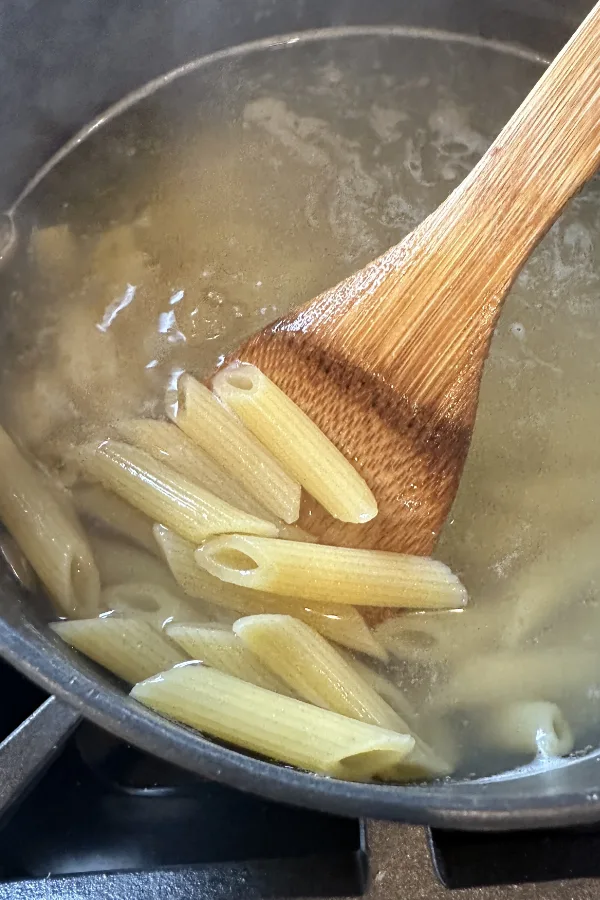 penne pasta in pot of water