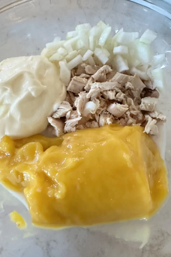 cream of chicken soup and diced chicken