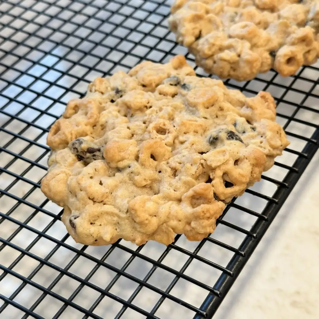 Jumbo breakfast cookies