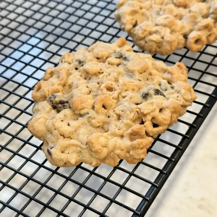 Jumbo breakfast cookies
