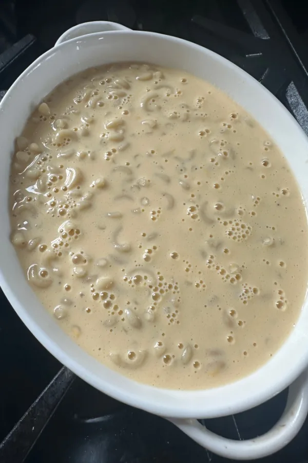 noodles in cheese sauce