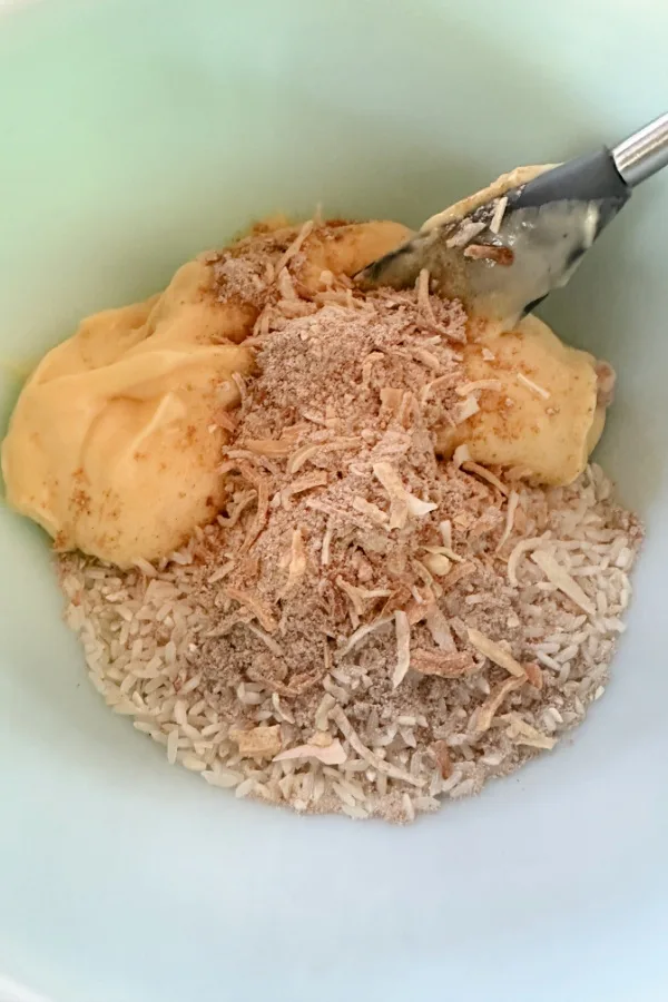 onion soup mix and condensed cream of chicken soup