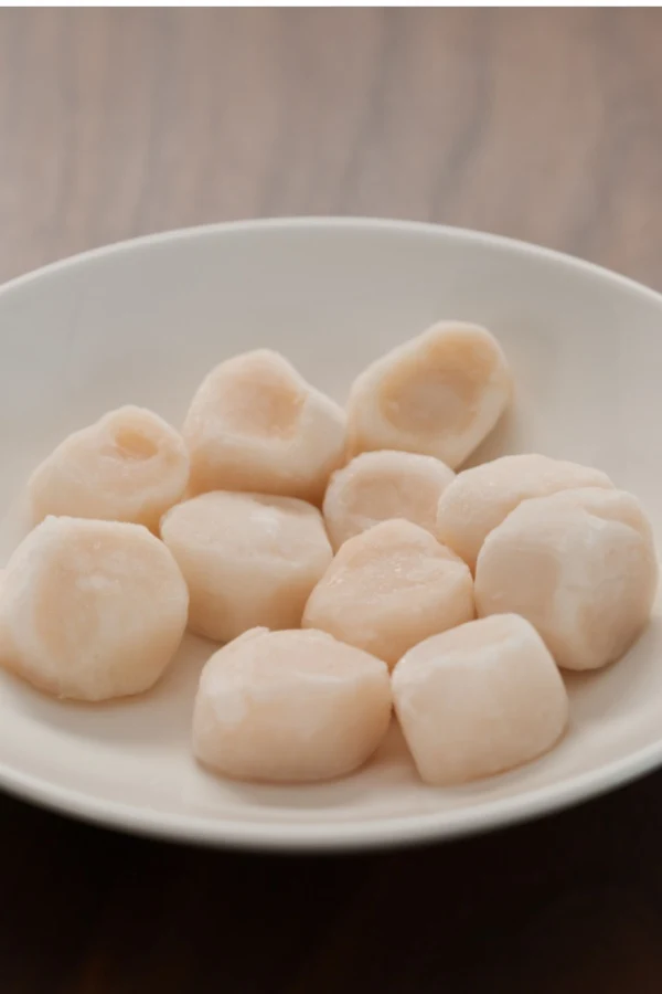 frozen scallops